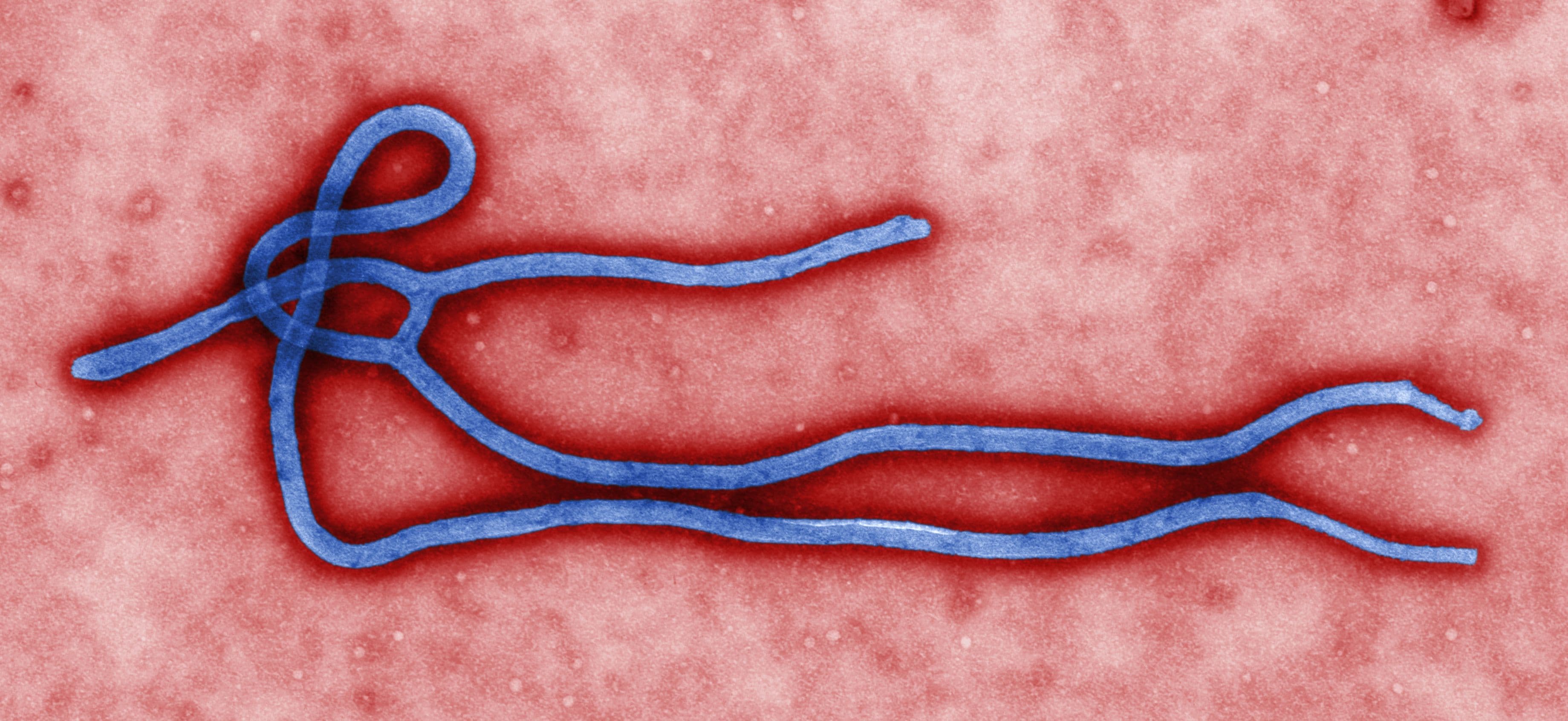 Surto de ebola no Congo chega à oitava província e já passa de 4,5 mil mortes